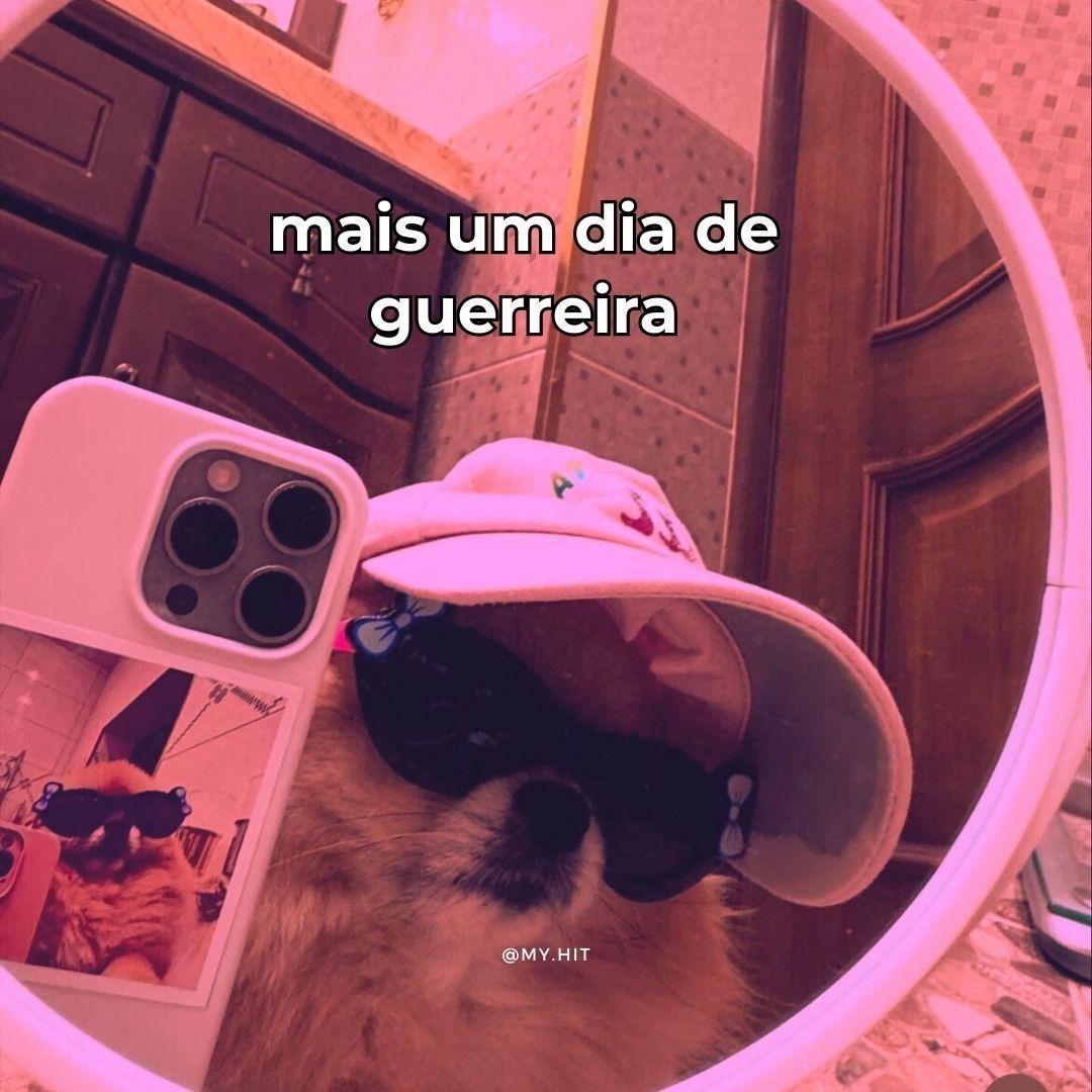Instagram ou TikTok?