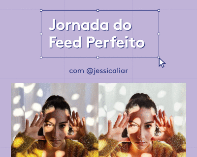Banner jornada-do-feed-perfeito
